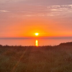 Ladies only's avatar